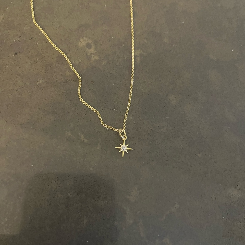 Gold plated 18inch necklace with a removable North Star charm. Never worn.
